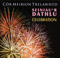 Seiniau'r Dathlu Celebration